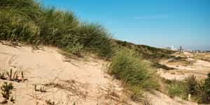 Zandvoort